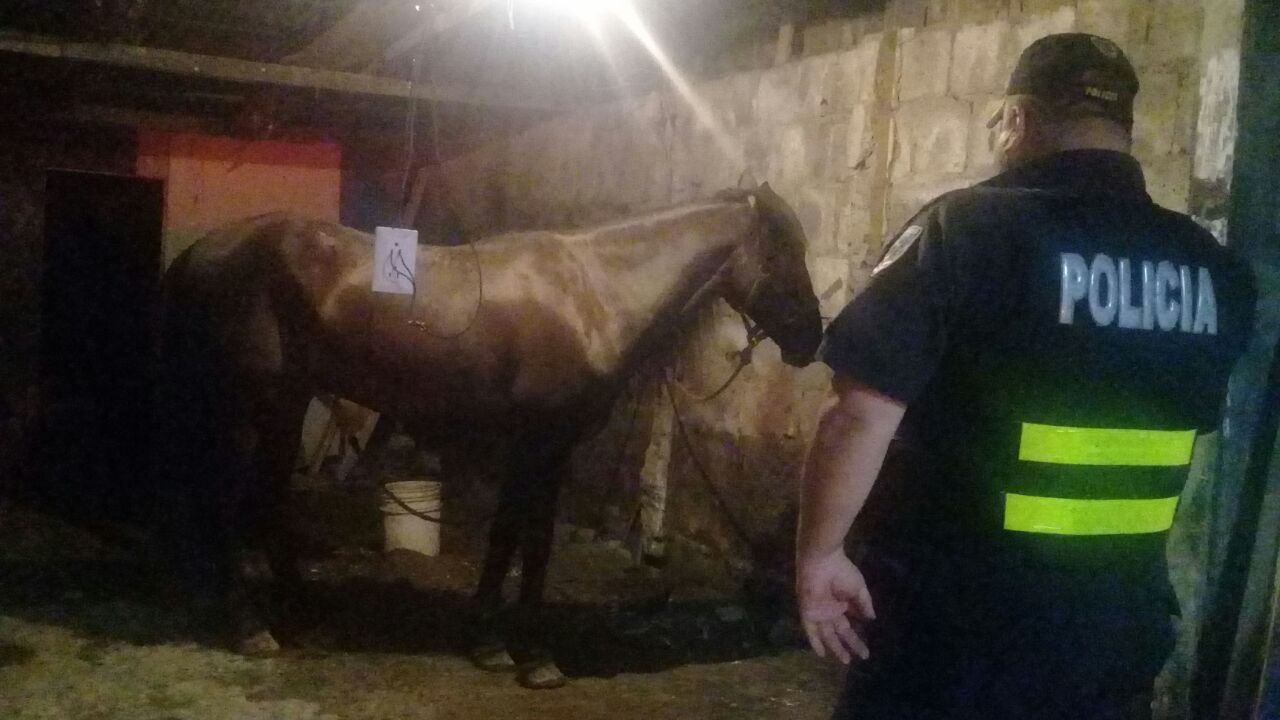 Fuente: Fuerza Pública