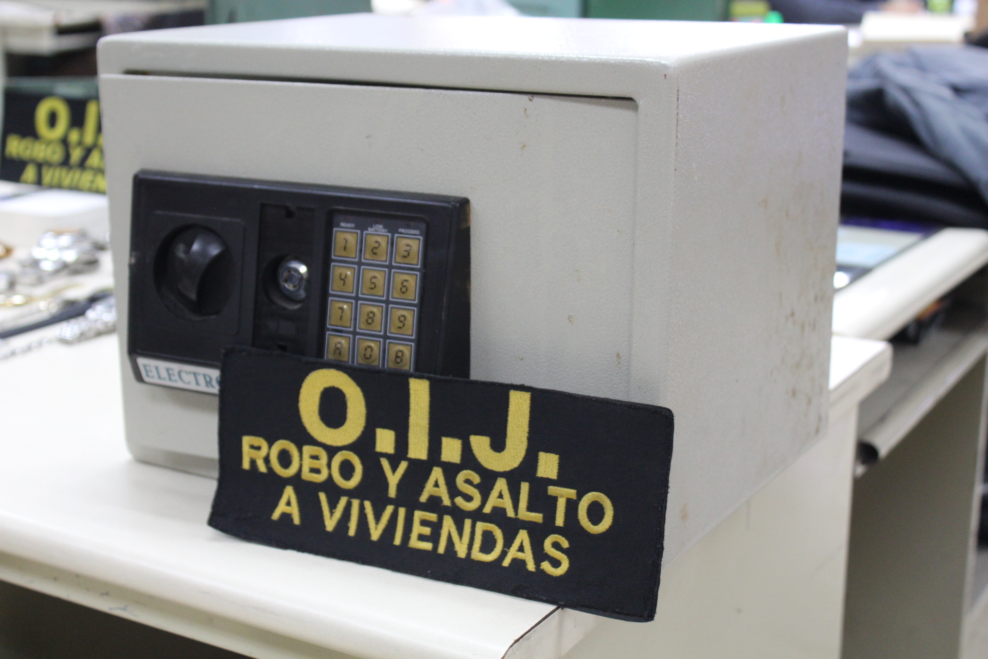 (+FOTOS) OIJ requiere al dueño de estas obras de arte