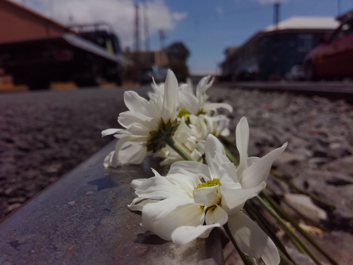 Foto: Esteban Vargas