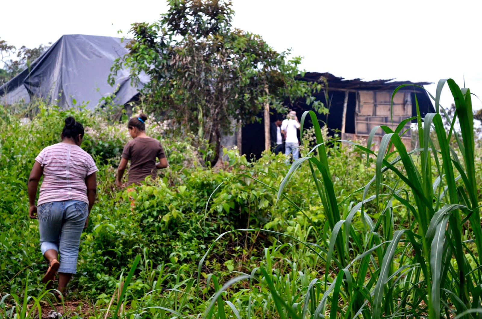 Imagen con fin ilustrativo.