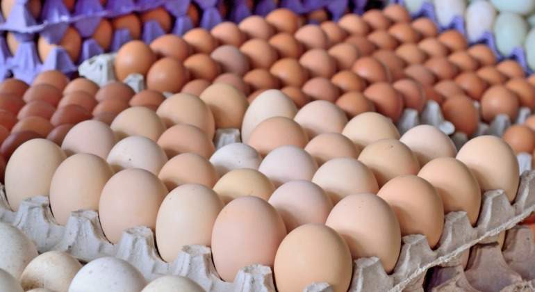 Precio del huevo podría llegar a los ₡2 mil por kilo