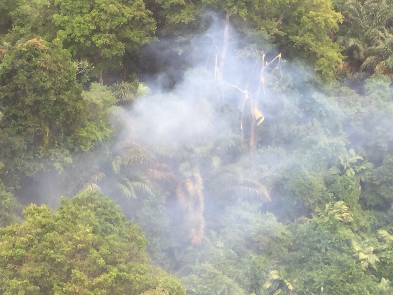 Foto: Dirección del Servicio de Vigilancia Aérea