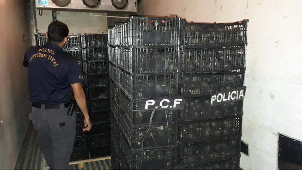 Incautan contrabando de aguacates en Desamparados