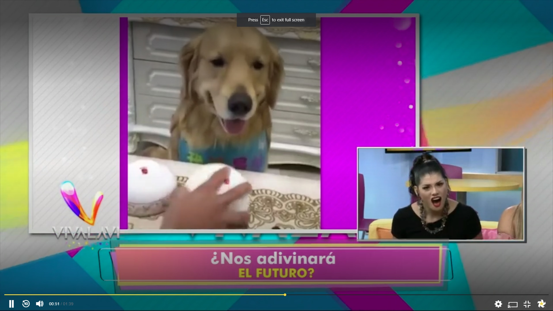 (+VIDEO) ¿El perro más inteligente?