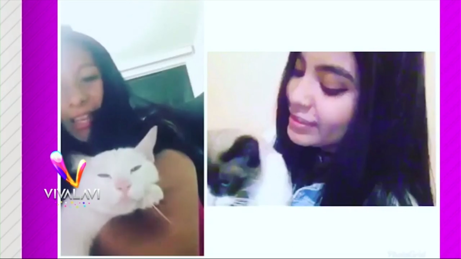 (+VIDEO) Un gato muy peleón 