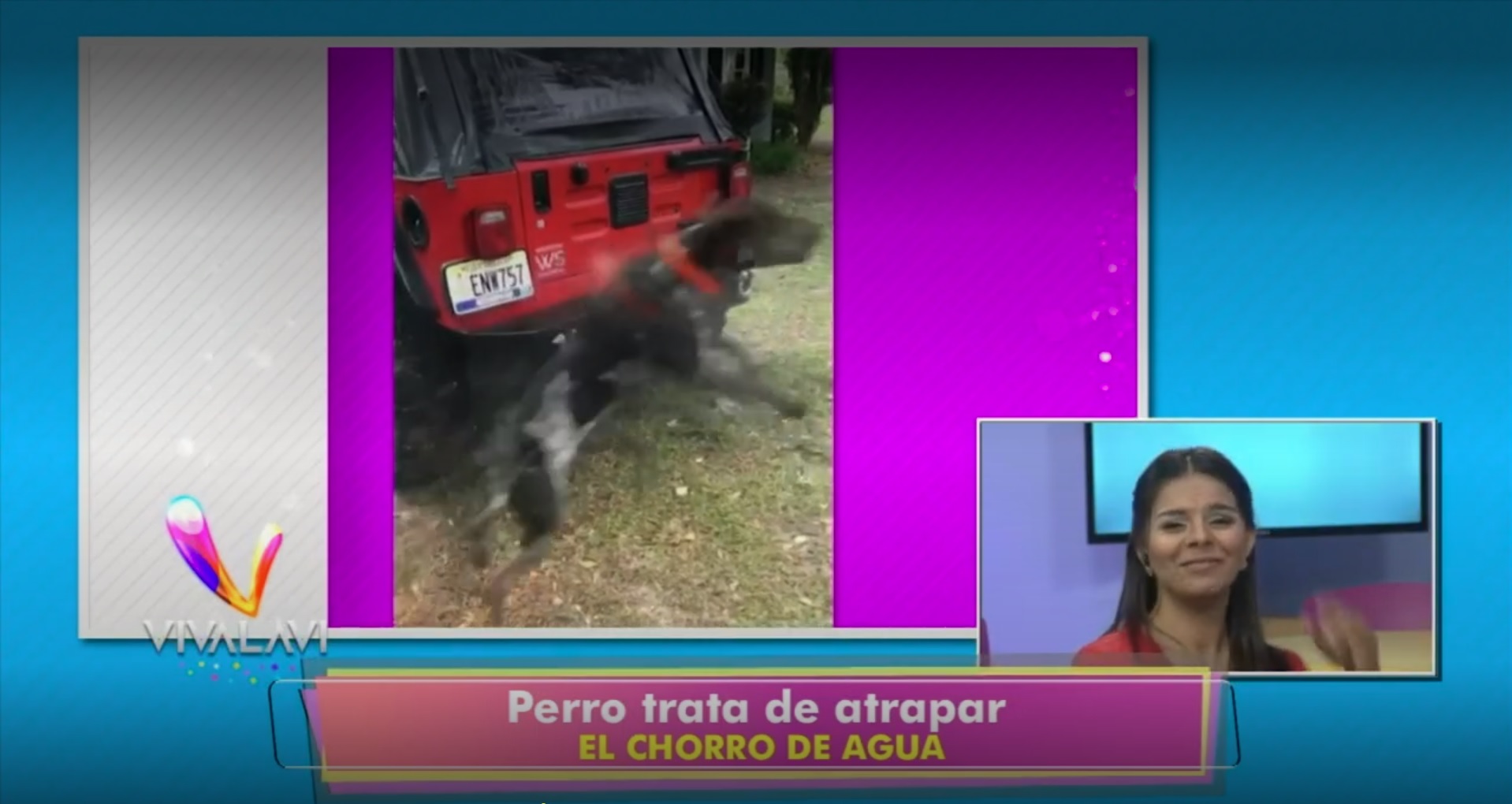 (+VIDEO) Cuando la sed gana se hace lo que sea