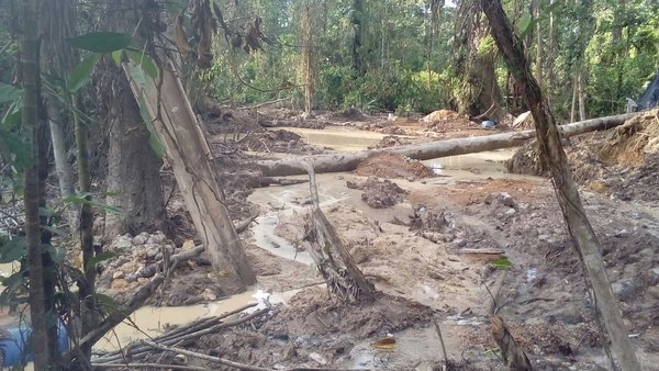 Fundación Neotrópica pide a Carlos Alvarado respetar el Medio Ambiente durante su gestión