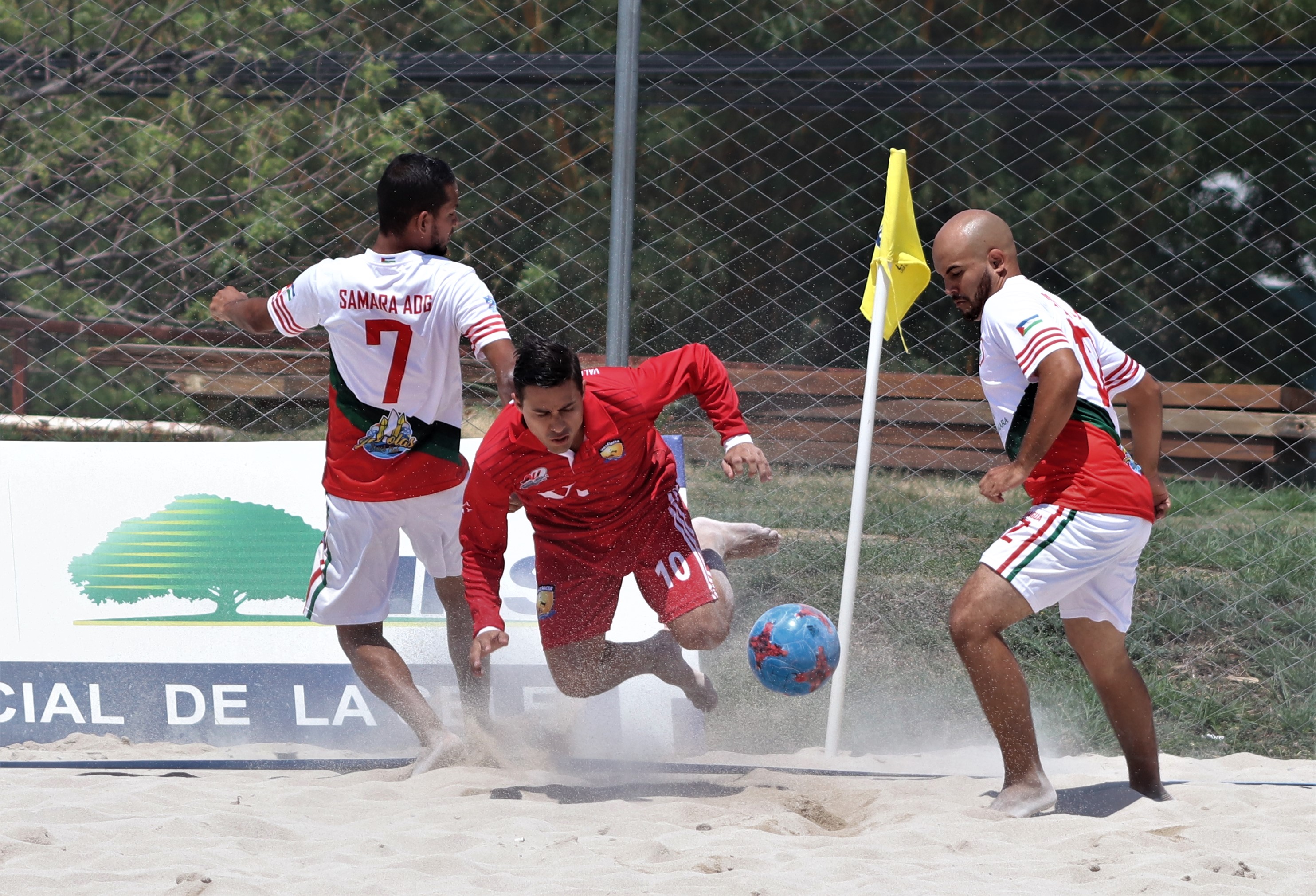 Leones Indomables siguen sólidos en la cima.
 