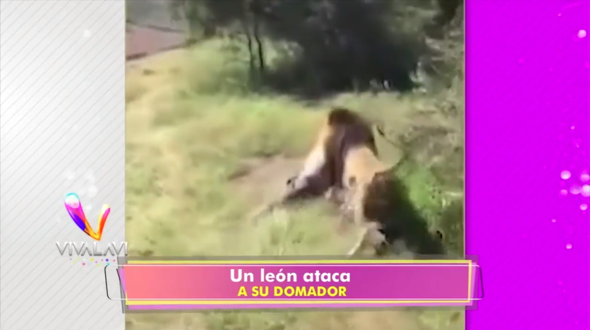 León ataca