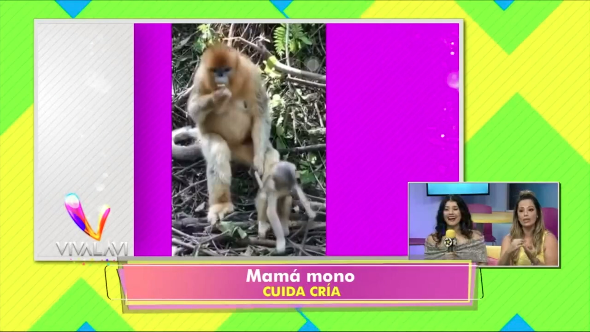Mamá mono