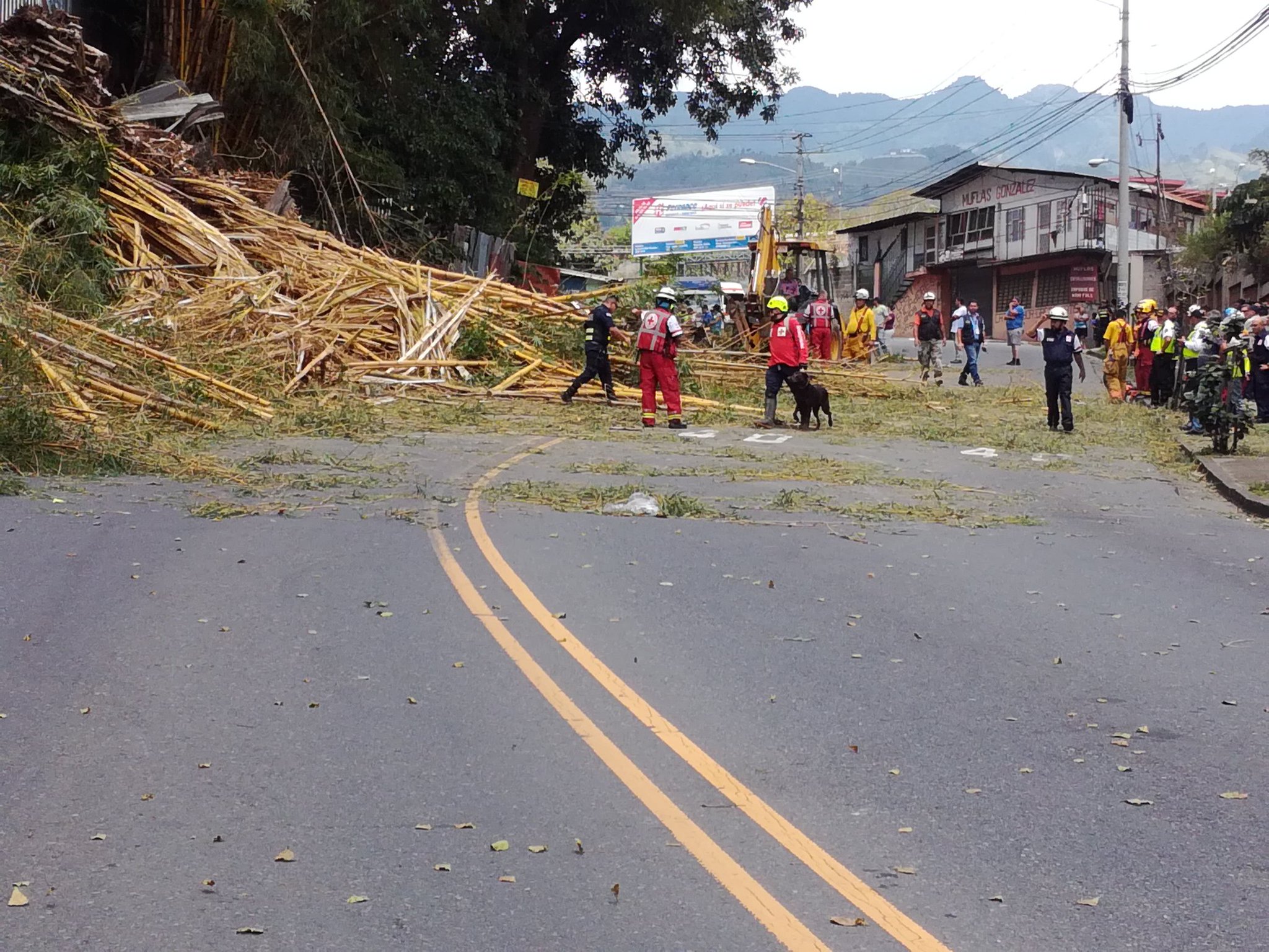 Foto: Esteban Vargas, Multimedios