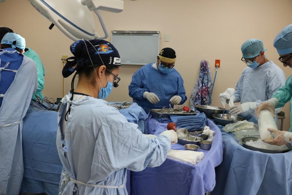 Imagen de referencia.