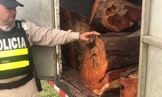 Policía Aeroportuaria decomisa carga de madera cocobolo