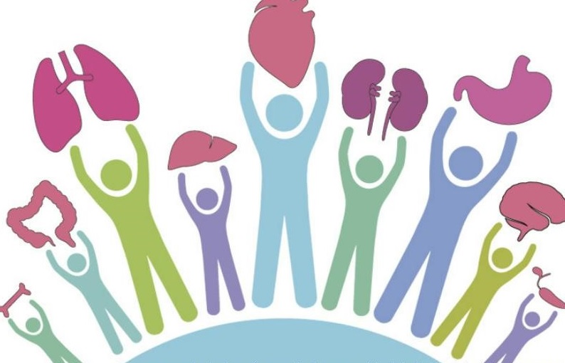 Imagen de referencia