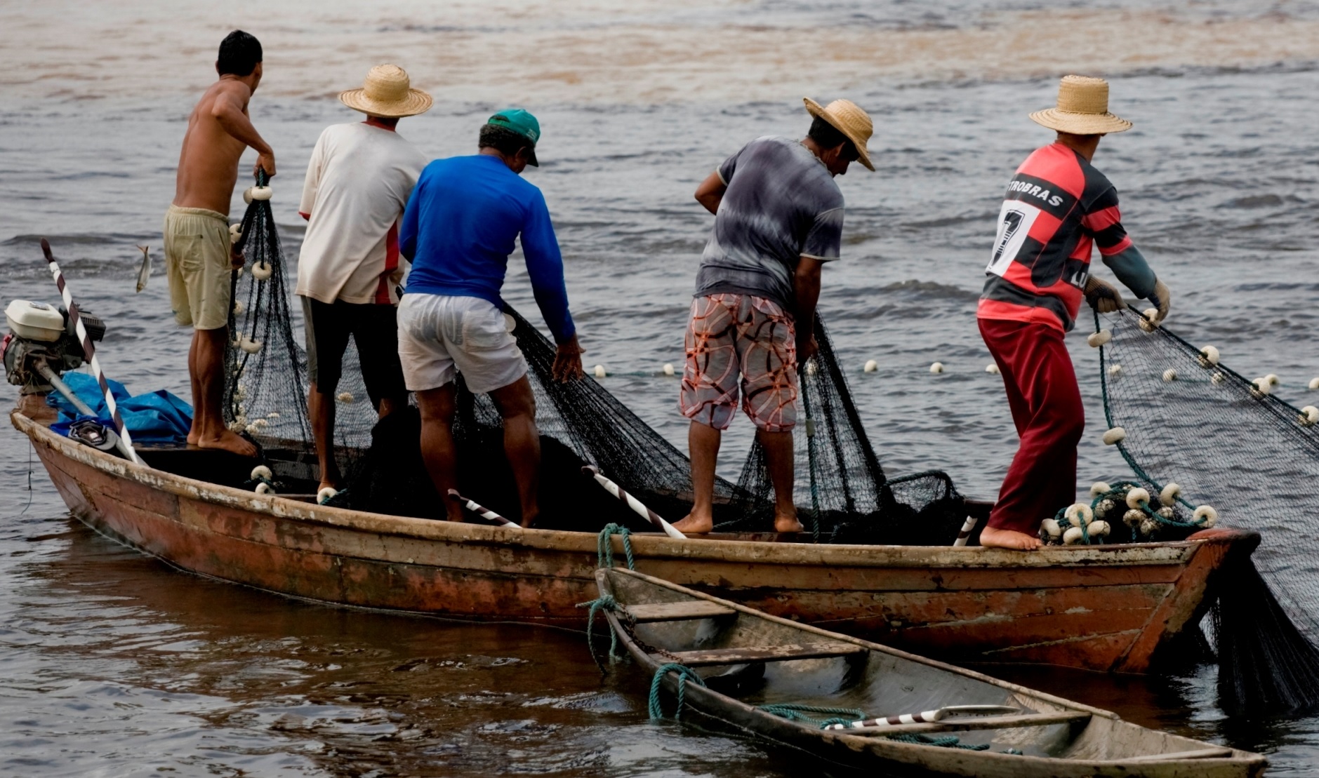 Imagen de referencia.