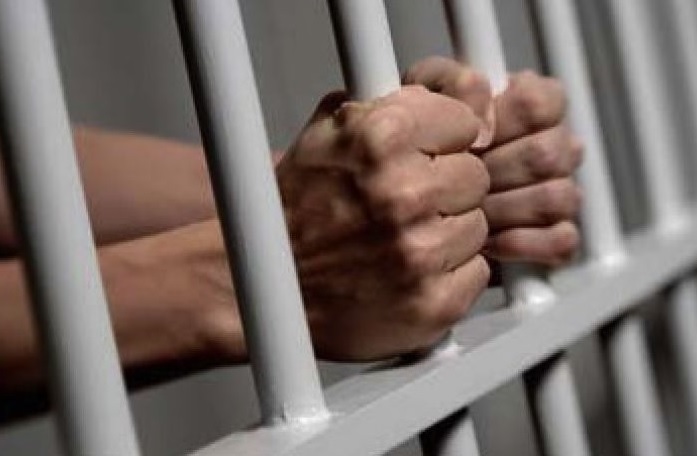 Imagen de referencia.