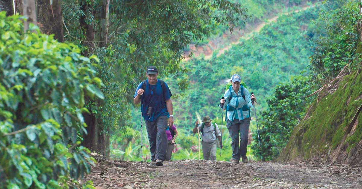Romería llama la atención de los amantes de la naturaleza
