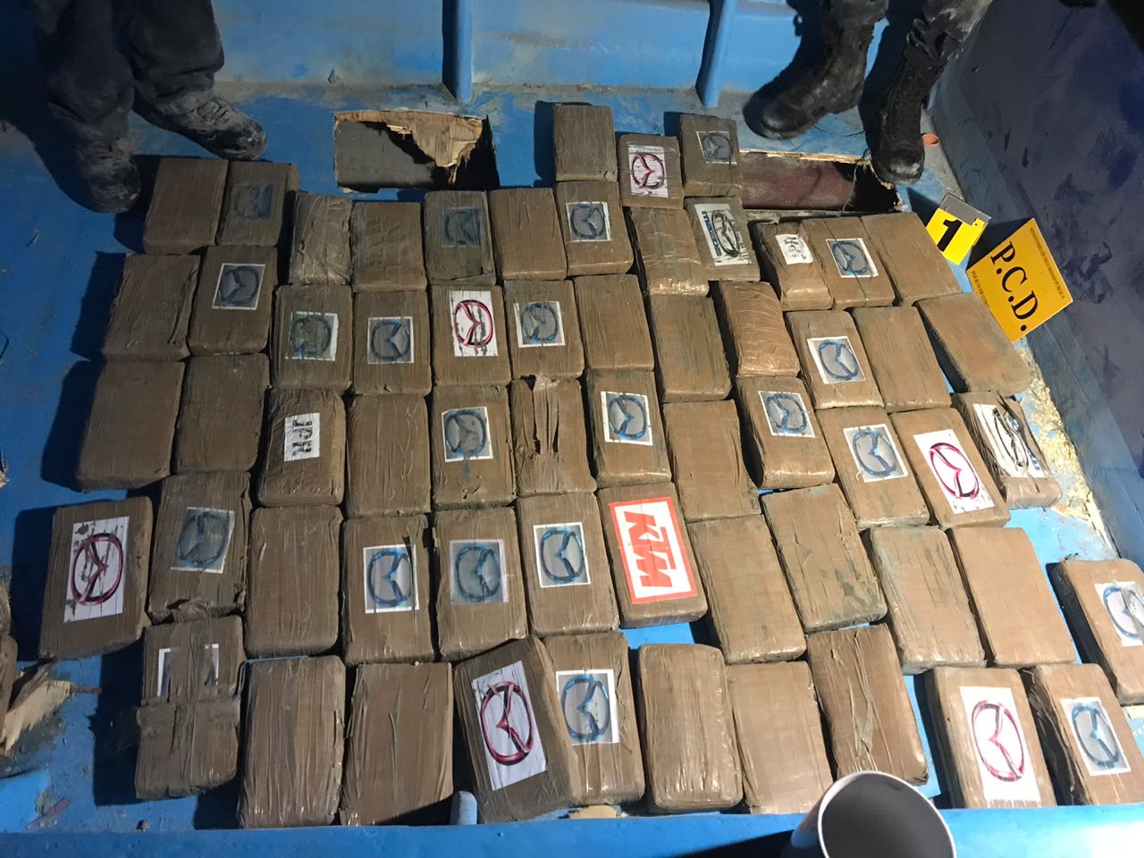 (+FOTOS) Seguridad Pública decomisa 407 kilogramos de cocaína