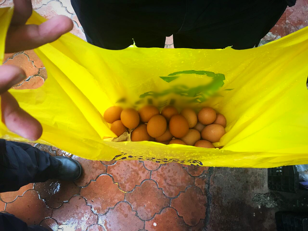 (+FOTOS) Huevos decomisados en la Asamblea podrían ser para tirarlos a diputados  