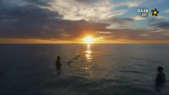 New Live Editor Clip 2018-10-10 18:49:39