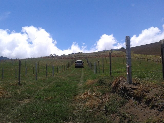 Foto: Imagen Ilustrativa