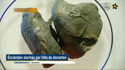 New Live Editor Clip 2018-11-15 00:40:53