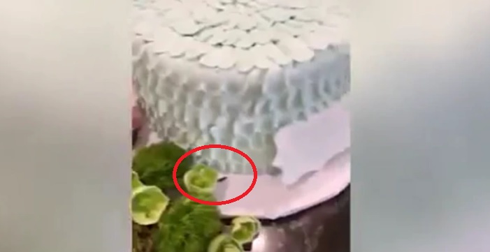 (+VIDEO) Una cucaracha se cuela en el queque de la sobrina de Kylie Jenner