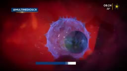 New Live Editor Clip 2018-11-23 02:29:11