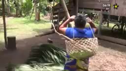 ayuda de EE.UU a indigenas