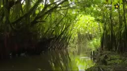 New Live Editor Clip 2018-12-04 03:10:48