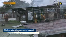 New Live Editor Clip 2018-12-06 02:27:21