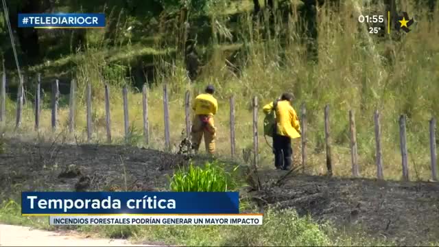 INCENDIOS FORESTALES