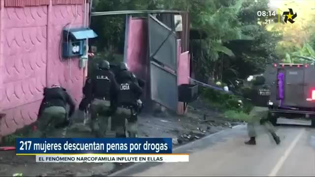 Narcofmilias