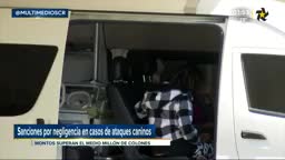 New Live Editor Clip 2019-01-29 20:24:34