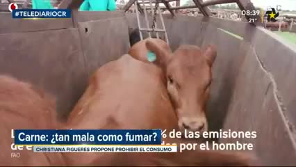 New Live Editor Clip 2019-02-08 02:55:17