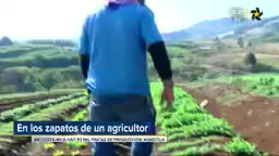 New Live Editor Clip 2019-02-16 02:52:57