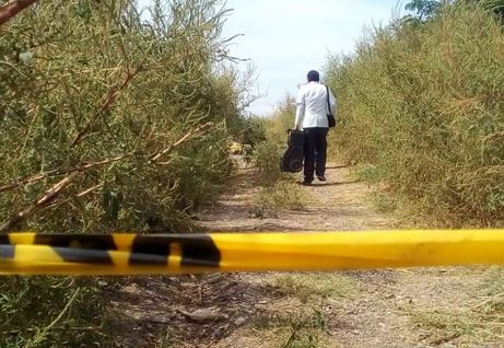 Imagen con fines ilustrativos