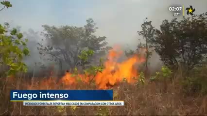 INCENDIOS FORESTALES