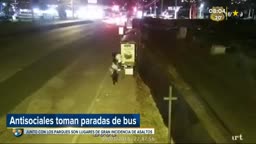 Paradas de bus