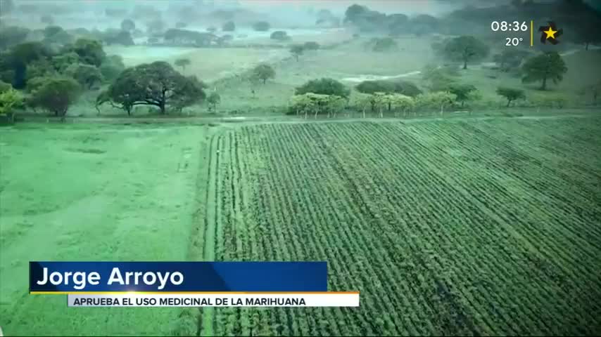 New Live Editor Clip 2019-03-27 02:41:26