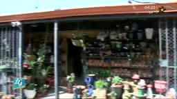 New Live Editor Clip 2019-03-29 16:02:33