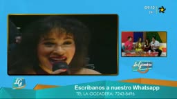 New Live Editor Clip 2019-04-01 17:46:20