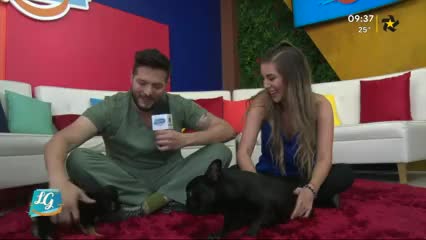 New Live Editor Clip 2019-04-02 15:38:05