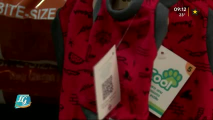 New Live Editor Clip 2019-04-04 17:05:49