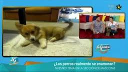 New Live Editor Clip 2019-04-09 16:32:00