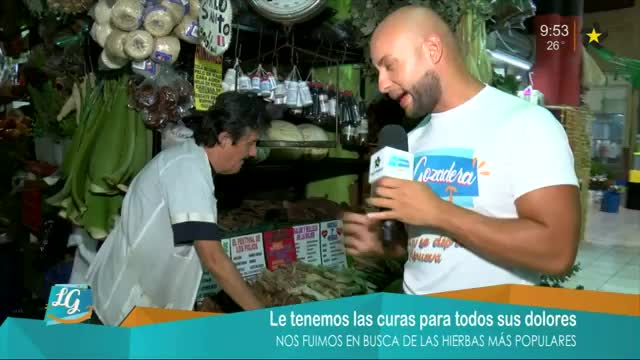 New Live Editor Clip 2019-04-10 16:04:46