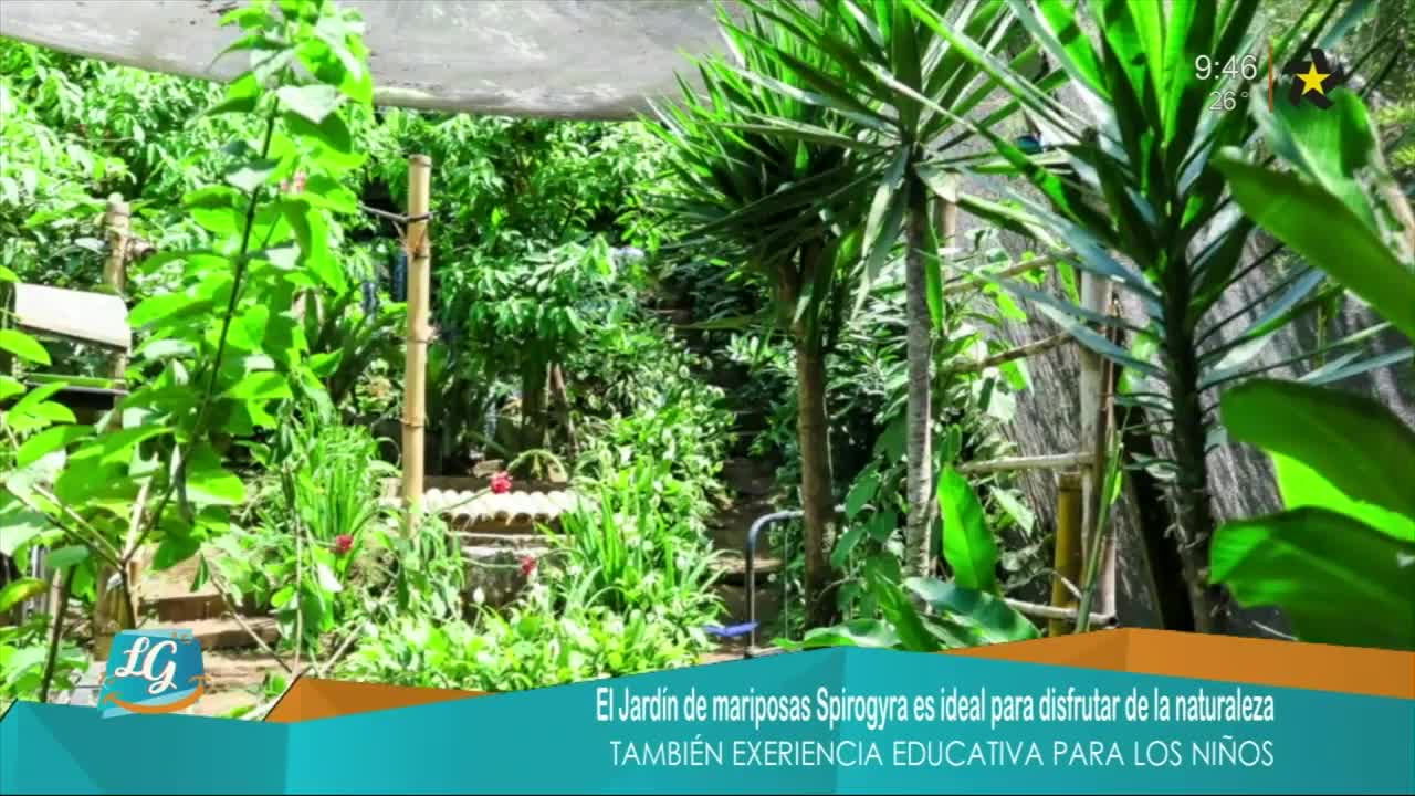 New Live Editor Clip 2019-04-12 15:49:37