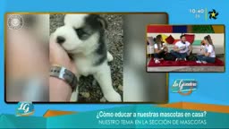 New Live Editor Clip 2019-04-23 16:48:29