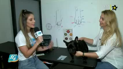 New Live Editor Clip 2019-04-24 15:21:52