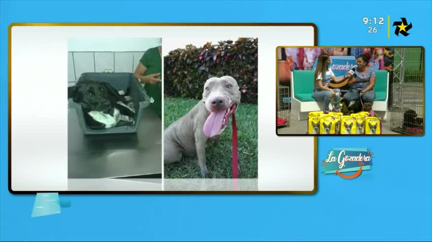 New Live Editor Clip 2019-04-25 19:44:31